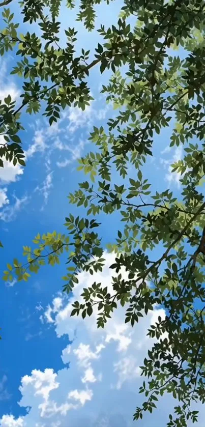 Blue sky with green leaves creating a serene mobile wallpaper.