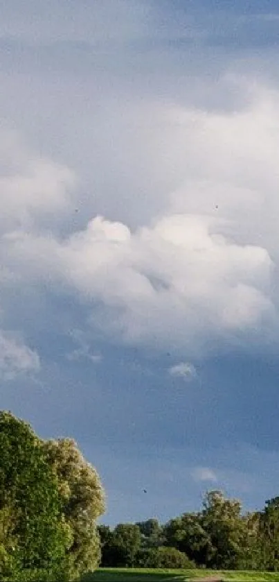 Blue sky with fluffy clouds over green trees.