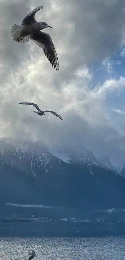 Seagulls flying over misty mountains and serene sea.