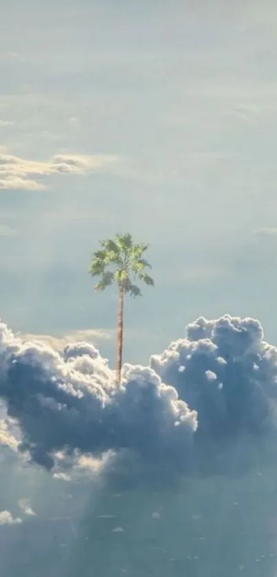 Palm tree rising through fluffy clouds against a tranquil blue sky wallpaper.