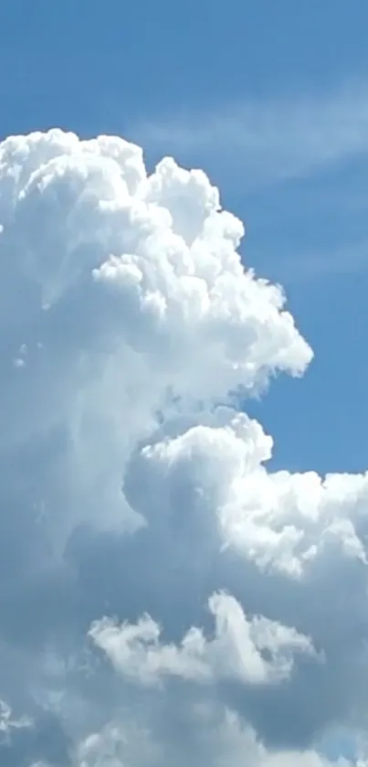 Fluffy clouds against a bright blue sky.