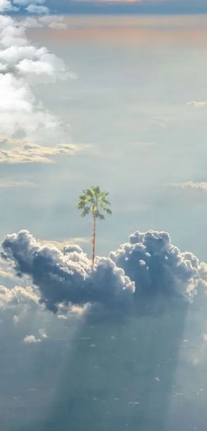 Floating palm tree amidst gentle clouds with sky blue tones.