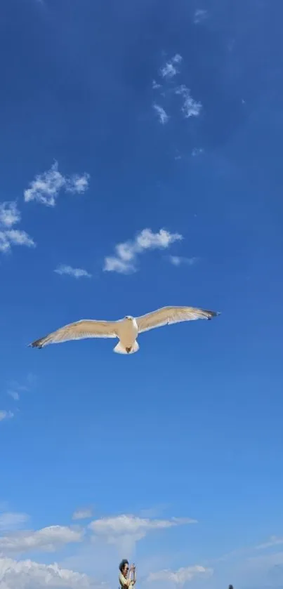 Seagull soaring in a bright blue sky.