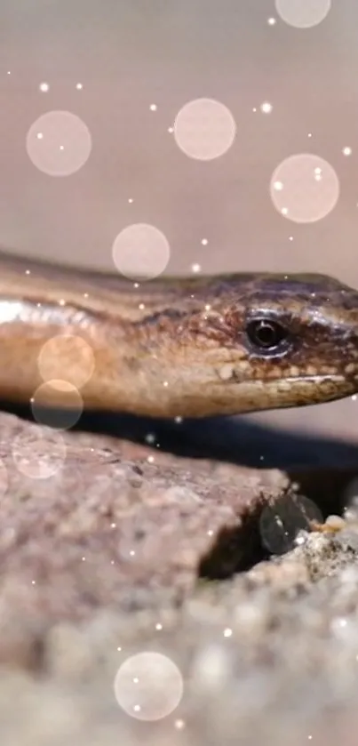 Snake on forest floor with bokeh lights effect.