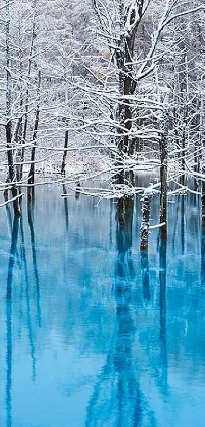 Snow-covered trees reflect in a vibrant blue lake.