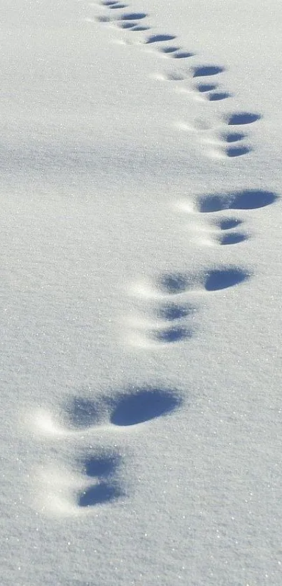 Footprints in white snow mobile wallpaper.