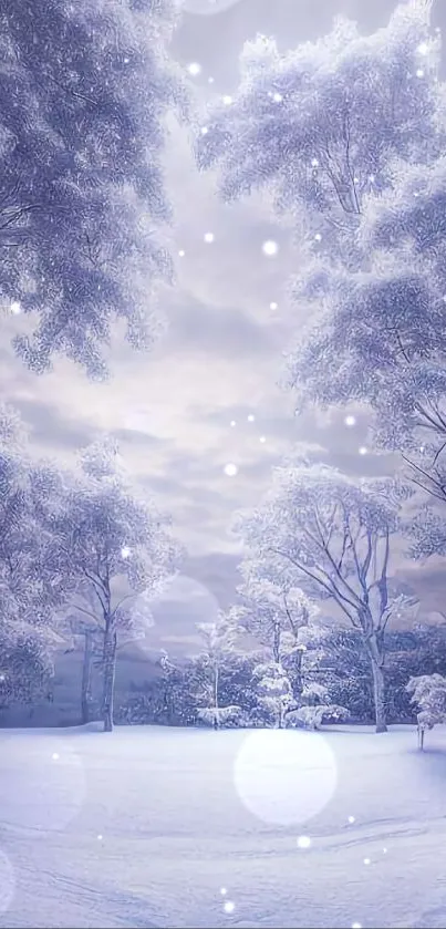 Serene snowy forest with frosted trees and calming winter ambiance.