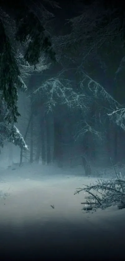 Snowy forest path under moonlit sky, creating a serene winter scene.