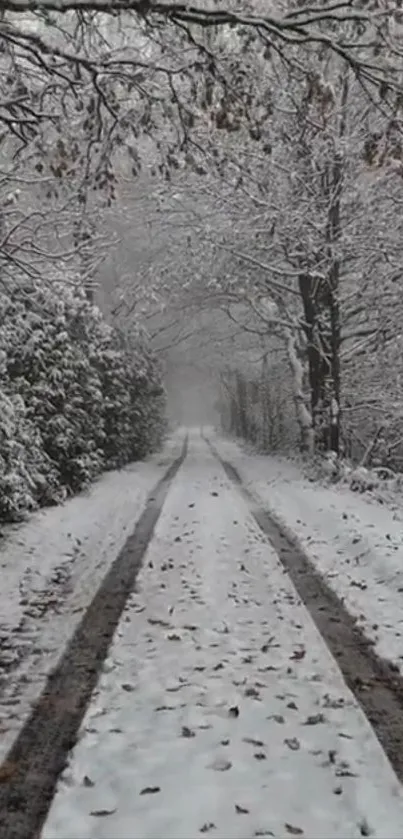 A tranquil snowy path winding through a serene forest in winter.