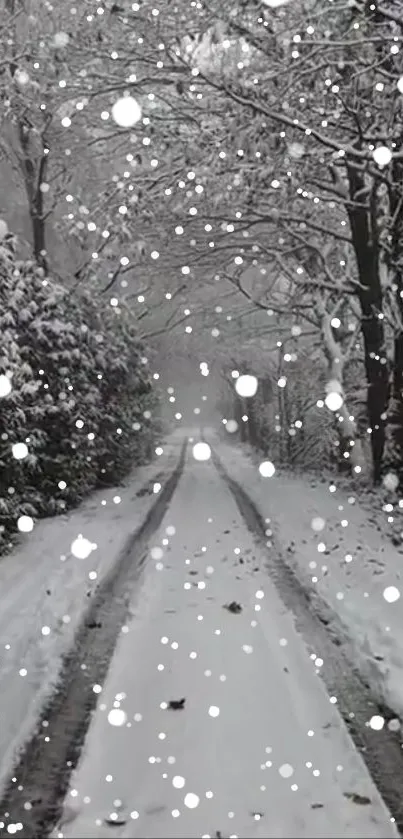 Serene snowy forest pathway with falling snow.