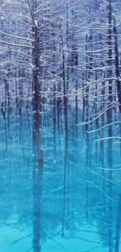 Serene snowy forest reflected in turquoise lake.