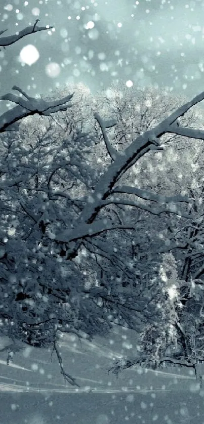 Serene forest with snow-covered trees and gentle snowfall.