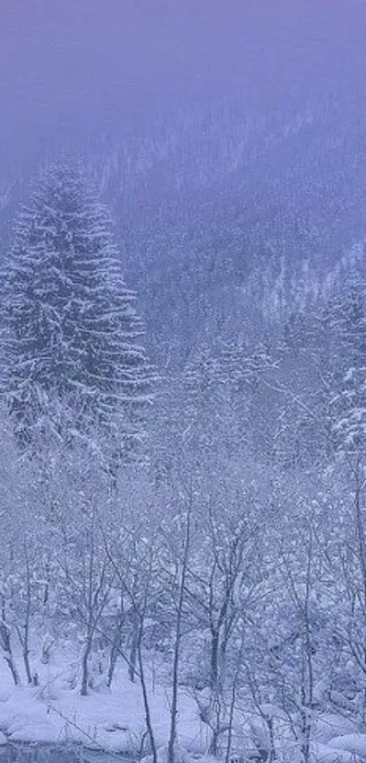 Snowy forest with trees and purple sky in winter.