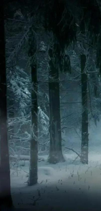 Mystical snowy forest with tall trees and winter ambiance.