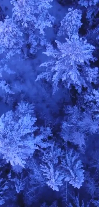 Aerial view of a snowy forest with a blue hue for a mobile wallpaper.