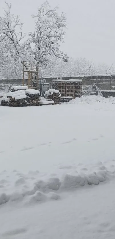 Snowy landscape with trees and pallets, serene winter scene.