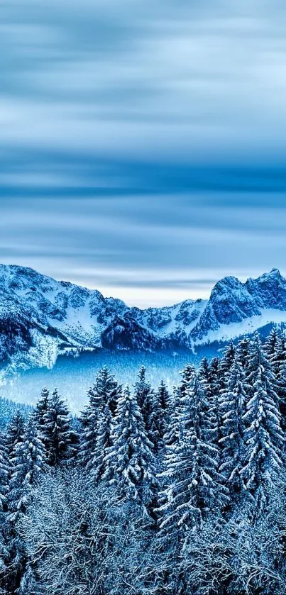 Snowy mountains and frosted forest under a tranquil blue sky.