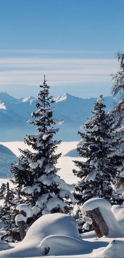 Snowy mountain landscape with pine trees and blue sky.
