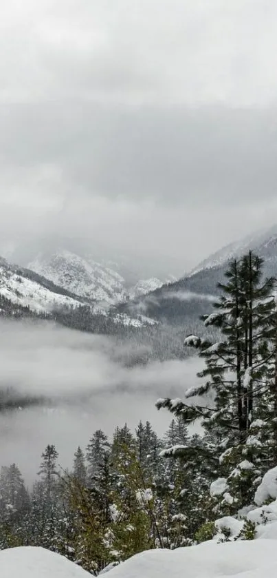 Snowy mountain landscape with cloudy sky.