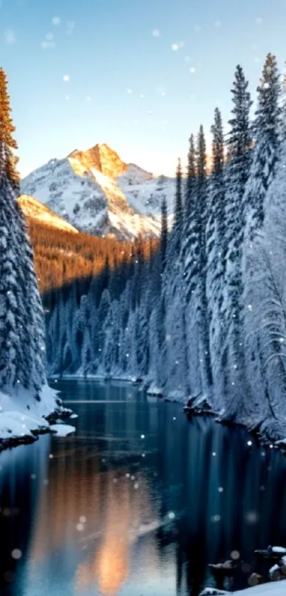 Snowy mountain river with winter trees reflecting in the water.