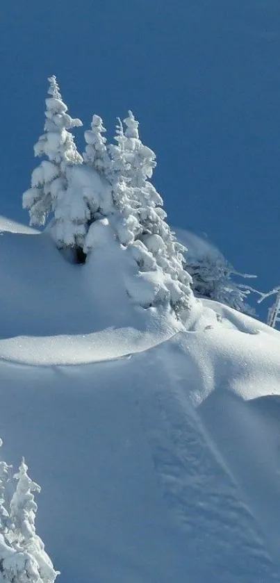 Serene snowy mountain with trees under a clear blue sky.