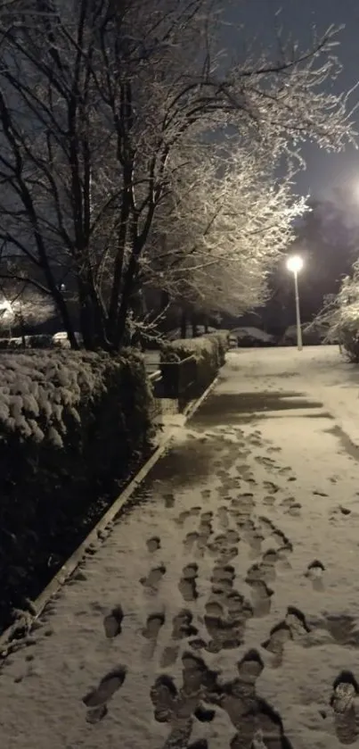 Snow-covered path with footprints at night.