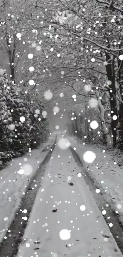 Winter path with falling snowflakes and snow-covered trees.