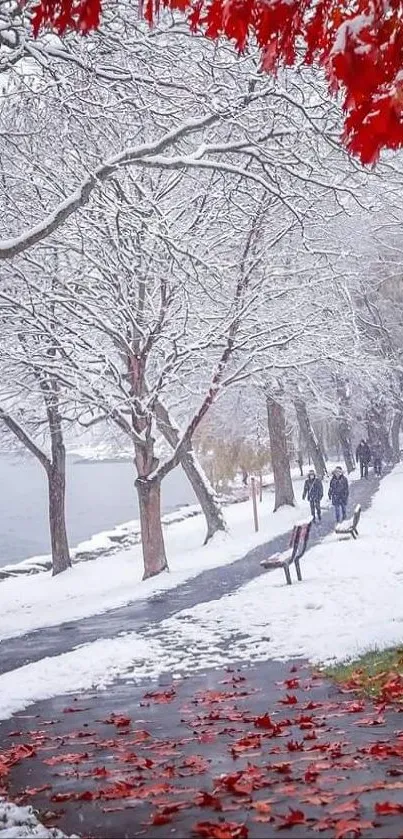 Snowy path with red leaves creating a serene winter wallpaper.