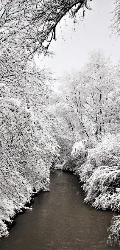 Serene river with snow-covered trees in winter.