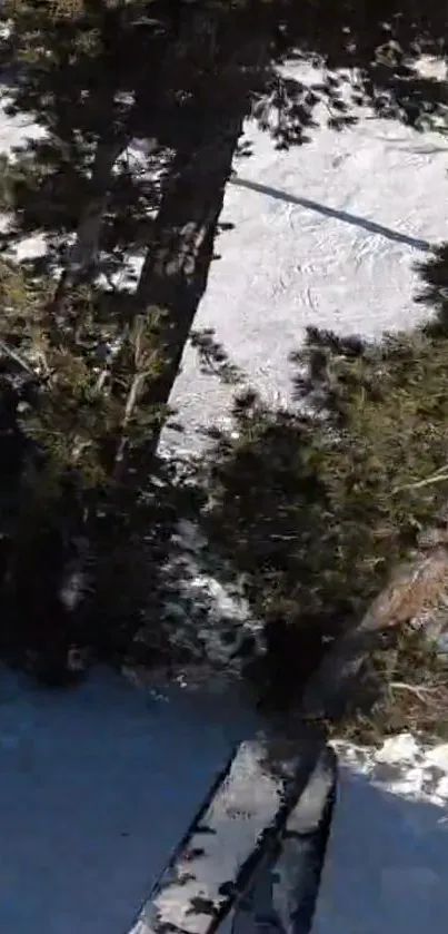 Ski lift over snowy forest landscape with trees.