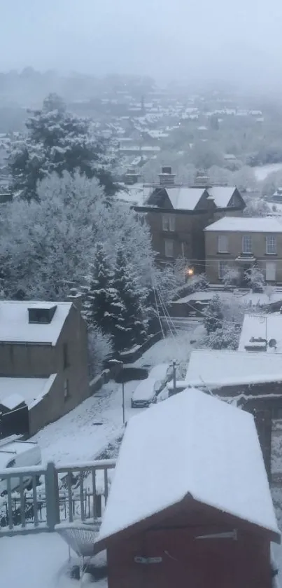 Snow-covered village in winter, serene view.