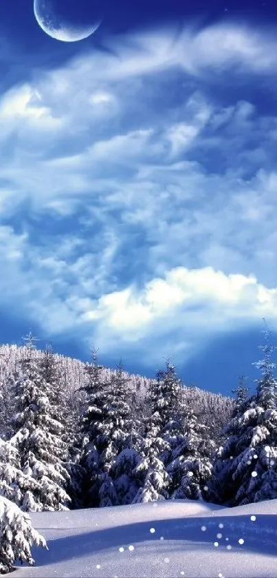 Snowy trees under a starry winter night sky.