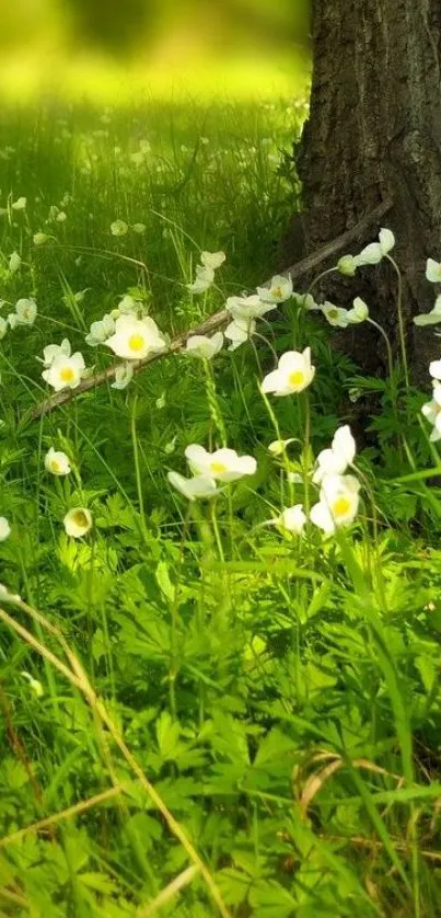 Spring flowers bloom under a tree on lush green grass, creating a serene scene.