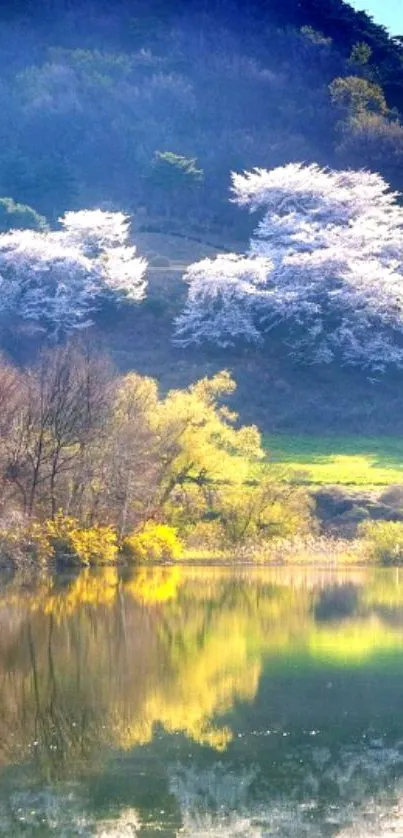 Serene spring mountain lake with cherry blossoms and reflections.