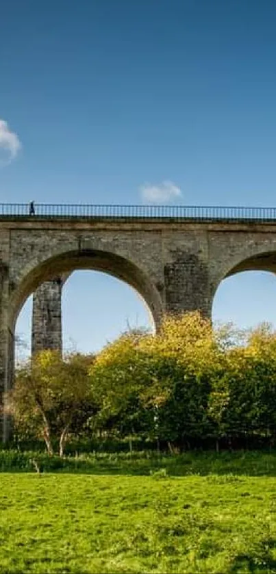 Stone arch bridge with green field under blue sky.