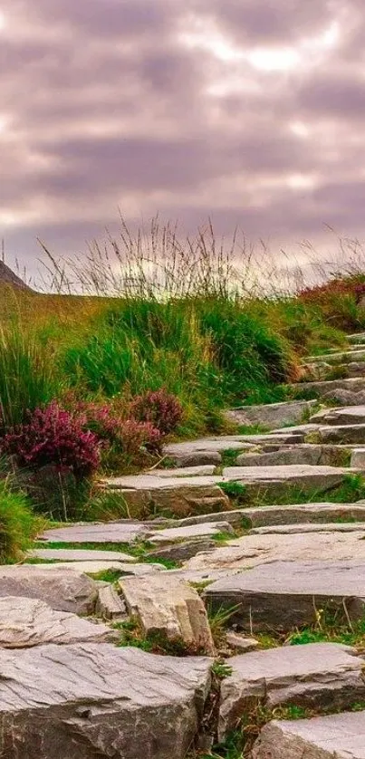 Stone pathway in lush nature with vibrant sky and greenery.