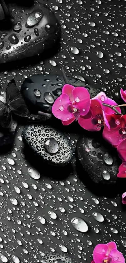 Wet black stones with pink orchids on wallpaper.