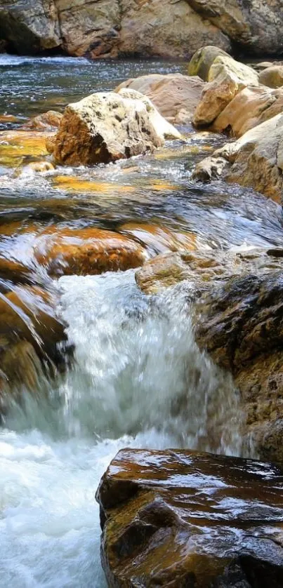 Serene stream cascading over rocks in nature