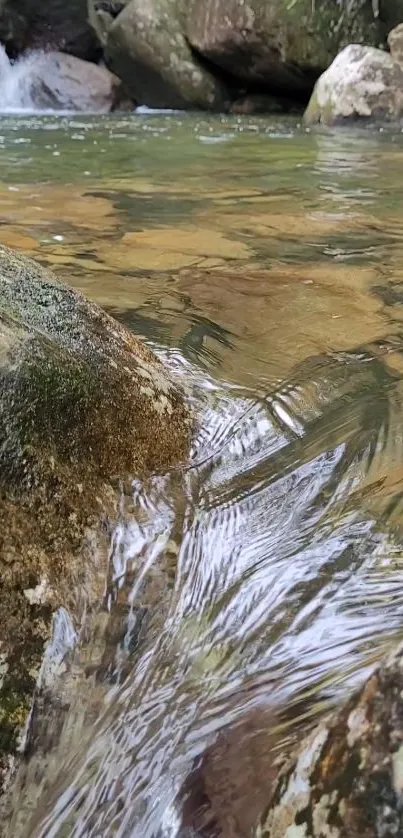 Serene stream flowing over mossy rocks in nature.