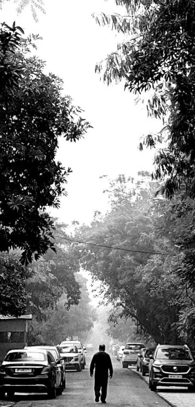 Black and white street scene with trees and cars.