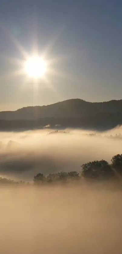 Sunlit misty mountain landscape with a radiant sunrise and serene atmosphere.