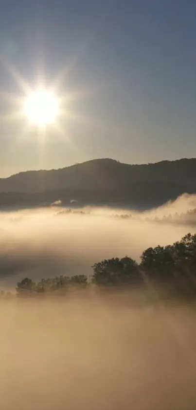 Serene mountain landscape with sunlit mist and a calming blue sky.