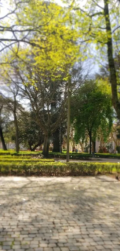 A serene sunlit park pathway with lush green trees and cobblestone path.