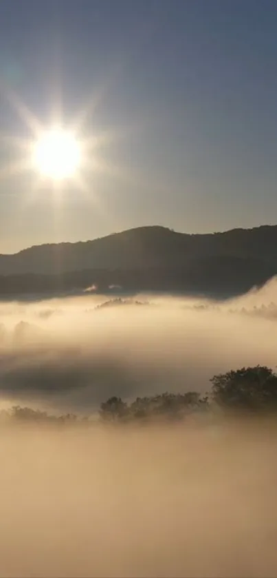 Bright sunrise over misty mountains and foggy valleys for mobile wallpaper.