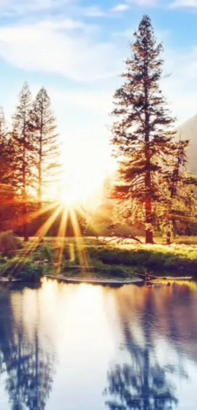 Serene sunrise in a forest with lake reflection and towering trees.