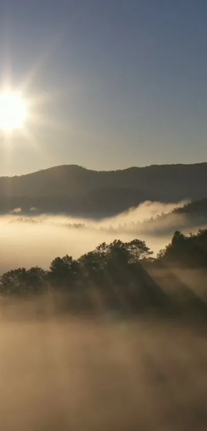 Sun rising over misty mountains in serene scenery.