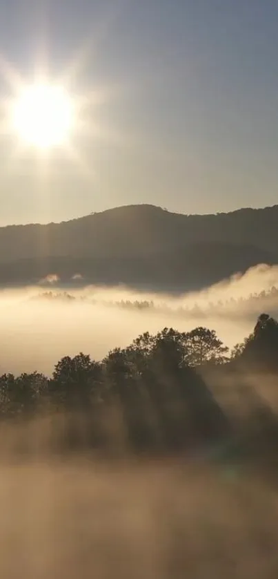 Sunrise over misty mountains with fog and sun rays.