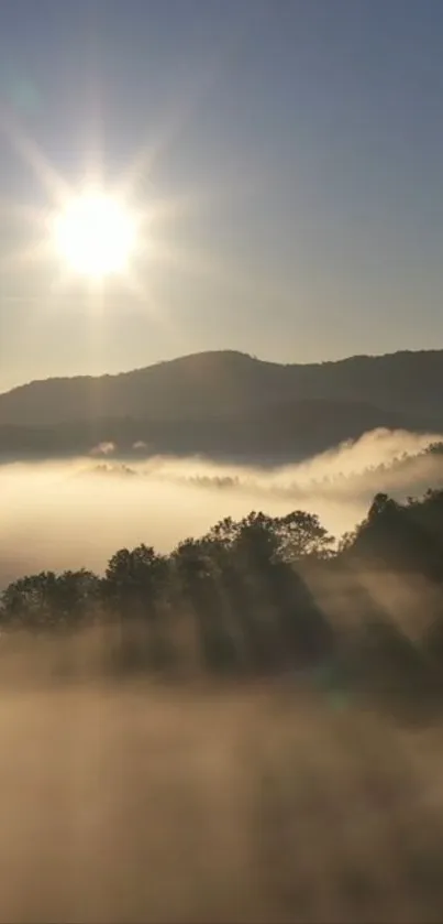 Sunrise over misty mountains with soft sunlight.