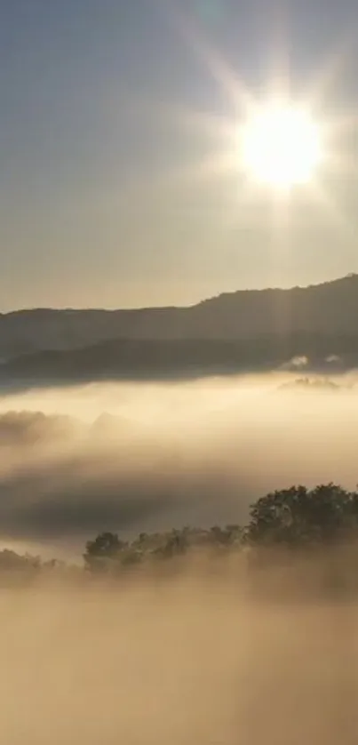 Serene mountain sunrise with mist and golden sunlight.