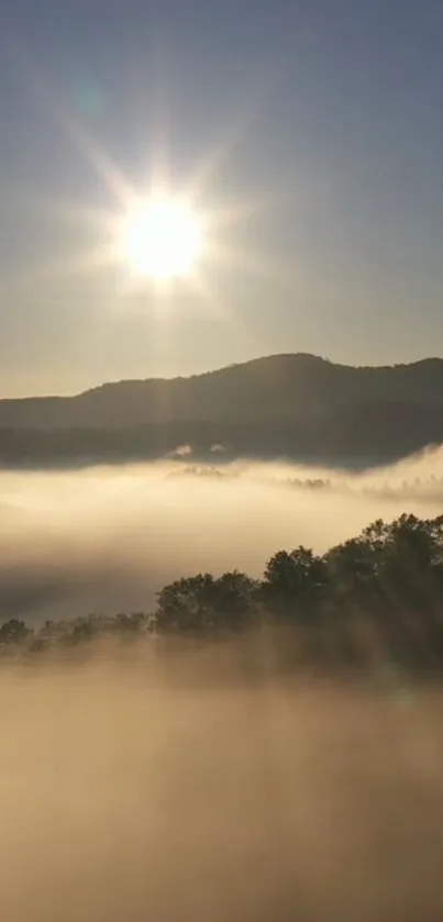 Misty hills at sunrise with sun shining over a serene landscape.